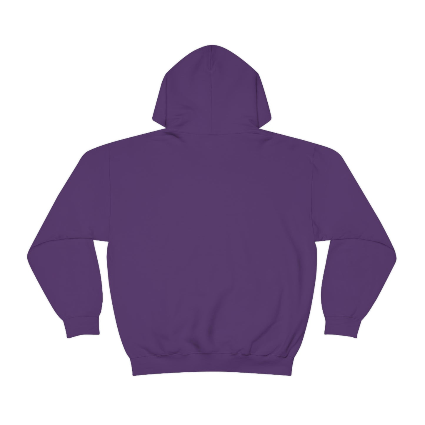 Desert Hoodie, Fantasy Mountain Hoodie, Aesthetic Hoodie with Pocket, Mythical Creatures Hoodie, Comfy Hoodie